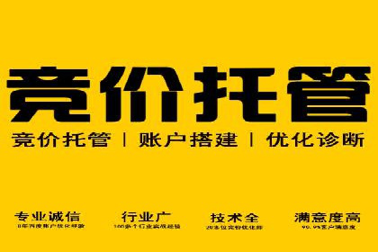 百度推广平台案例集锦：成功案例背后的故事